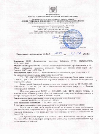 Картон. Экспертное заключение, стр. 1